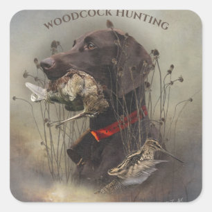 Duitse Shorthaired Pointers Vierkante Sticker