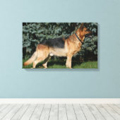 Duitse Show Shepherd Canvas Afdruk (Insitu (Houten vloer))