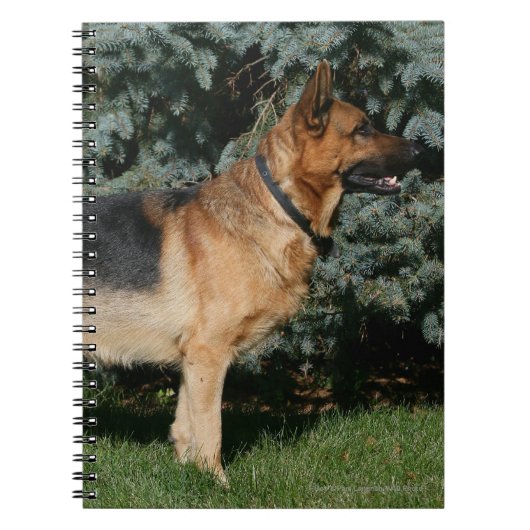 Duitse Show Shepherd Notitieboek (Voorkant)