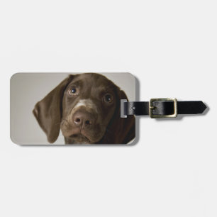 Duitse snorppuppy bagagelabel