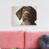 Duitse snorppuppy canvas afdruk (Insitu (Woonkamer))