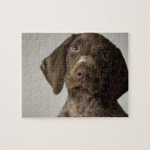 Duitse snorppuppy legpuzzel