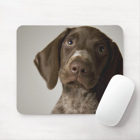 Duitse snorppuppy muismat (Met muis)