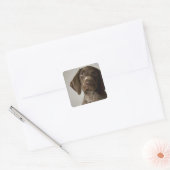Duitse snorppuppy vierkante sticker (Envelop)