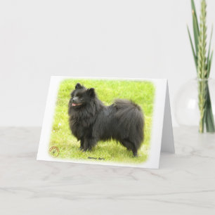 Duitse Spitz 9W014D-009 Kaart