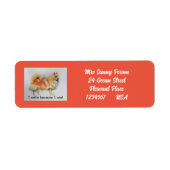 Duitse Spitz hond 'Ik lach omdat ik kan' Kaarten Etiket (Voorkant)