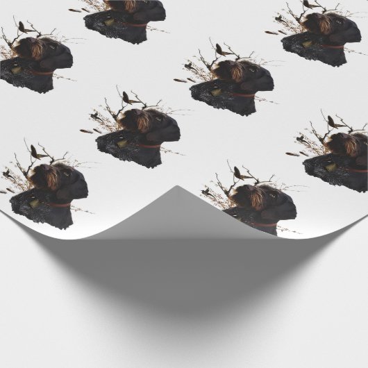 Duitse Staande Draadhar Cadeaupapier (Hoek)