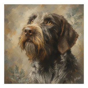 Duitse Staande Draadharige Pointer Foto Afdruk