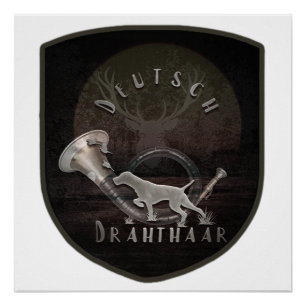 Duitse Staande Draadharige Pointer Poster Perfect Poster