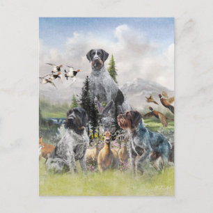 Duitse Staande Hond Draadhaar Briefkaart