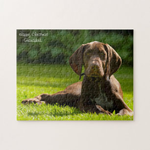 Duitse Staande Hond. Legpuzzel