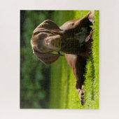 Duitse Staande Hond. Legpuzzel (Verticaal)