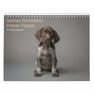 Duitse Staande Hond Puppies 2027 Kalender