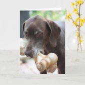 duitse stenografische aanwijzer kaart (Gele Bloem)