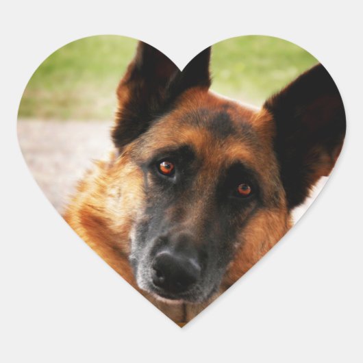 Duitse Stickers van schapen (Voorkant)