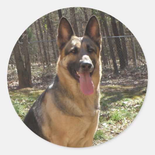 Duitse Stickers van schapen (Voorkant)