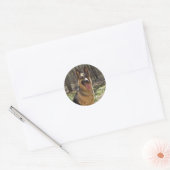 Duitse Stickers van schapen (Envelop)