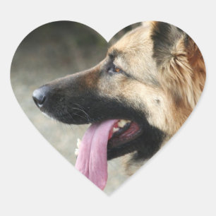 Duitse Stickers van schapen