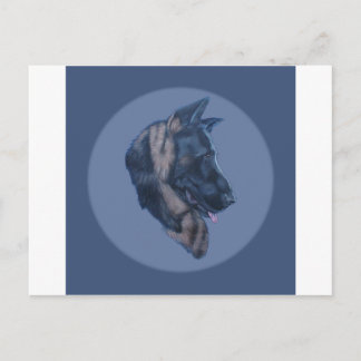 Duitse studie Shepherd Head Briefkaart