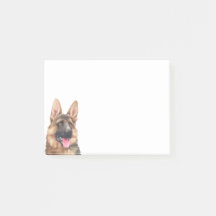 Duitse Waterverf Shepherd Dog Alsatian GSD Pet