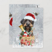 Duitse Wirehaire Pointer, Boar Hunting Kaart (Voorkant / Achterkant)