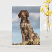 Duitse Wirehaire Pointer-kaart Kaart (Gele Bloem)