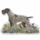 Duitse Wirehaire Pointer sticker (Voorkant)