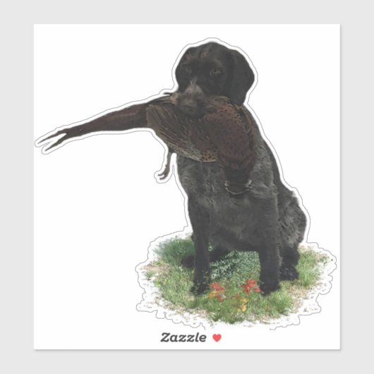 Duitse Wirehaire Pointer sticker (Vel)