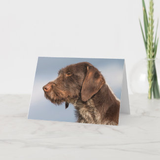 Duitse Wirehaired Pointer Dog Kaart