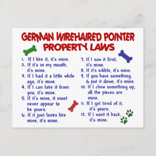 DUITSE WIREHAIRED POINTER Property Laws 2 Briefkaart