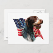 Duitse Wirehaired Pointer vlag Briefkaart (Voorkant / Achterkant)