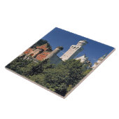 Duitsland, Beieren, Neuschwanstein Castle. Tegeltje (Zijkant)
