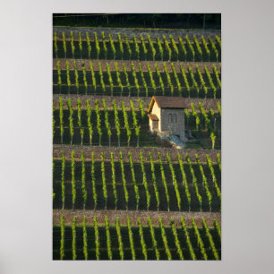 Duitsland, Franconia, Wertheim. Speciale heuvel 2 Poster