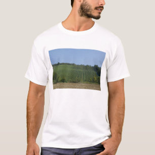 Duitsland, Franken, Rothenburg. Gezicht langs de T-shirt