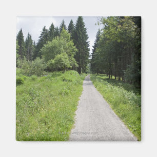 Duitsland, Thüringen, weg in bos Magneet