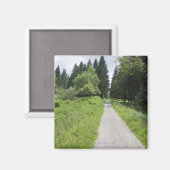 Duitsland, Thüringen, weg in het bos Magneet (Voorkant / Achterkant)