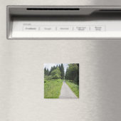 Duitsland, Thüringen, weg in het bos Magneet (Insitu (Vaatwasser))