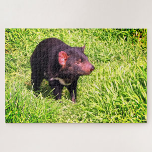 duivel van Tasmanië Legpuzzel