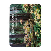 Duivelsclub, Devils Postpile National Monument Magneet (Verticaal)