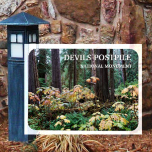 Duivelsclub, Devils Postpile National Monument Magneet