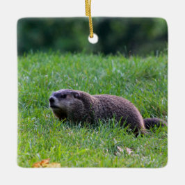 Duivelsgat-graver Keramisch Ornament