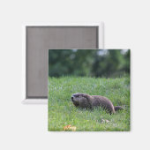 Duivelsgatgraver Magneet (Voorkant / Achterkant)