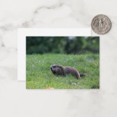 Duivelsgatgraver Notitiekaartje (Voorkant / Achterkant in situ)