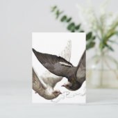  duiven briefkaart (Staand voorkant)