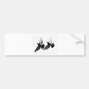 duiven bumpersticker