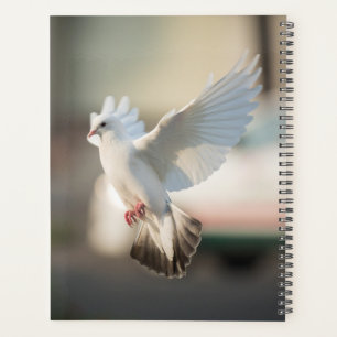 Duiven en Duiven Vogels Fotografie Planner