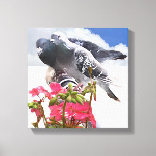 Duiven en roze geraniumbloemen canvas afdruk