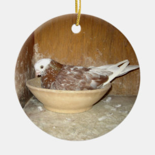 Duiven in haar nestBowl-versiering Keramisch Ornament