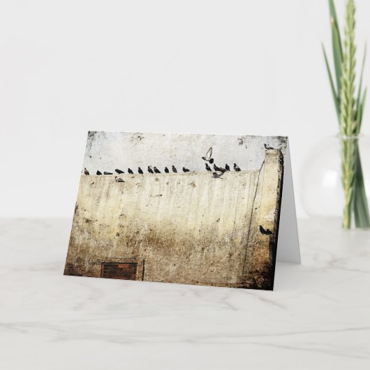 Duiven op een dak, Verjaardag Kaart (Voorkant)