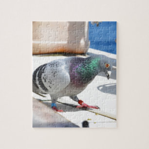 Duiven op een jacht legpuzzel